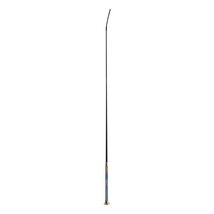 Dressage whip