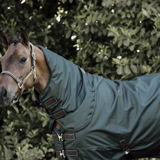 Outdoor Neck rug for horses