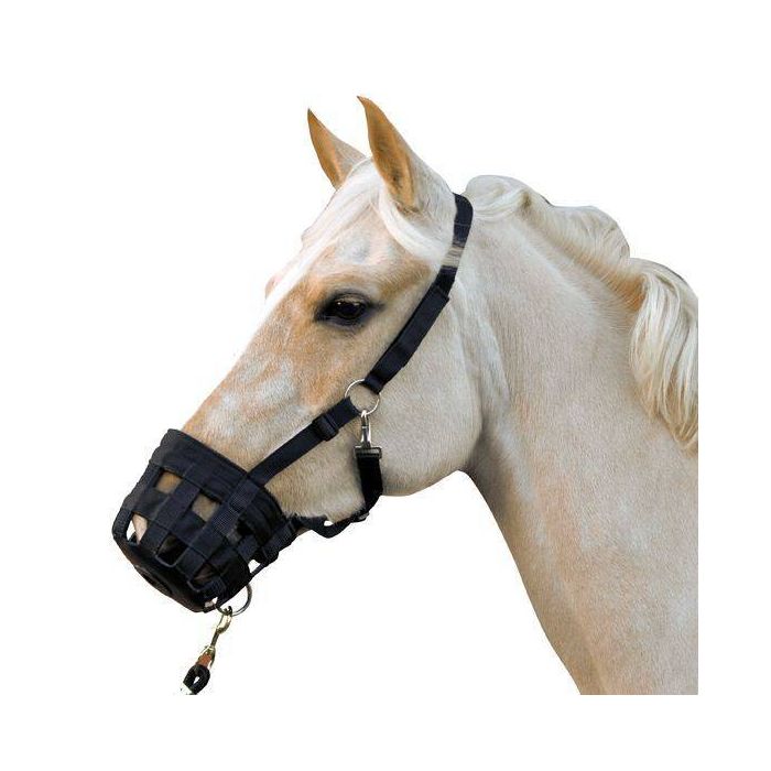 horse muzzle