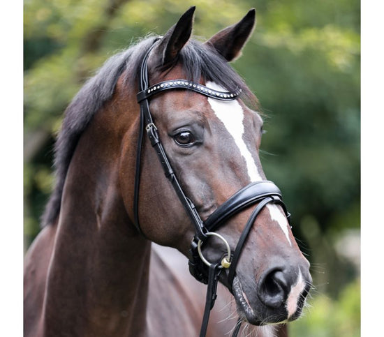 Kavalkade Bridle Mia