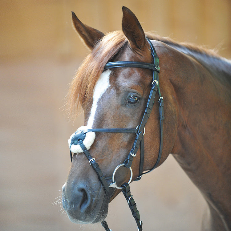 Cheap Mexican Noseband Bridle