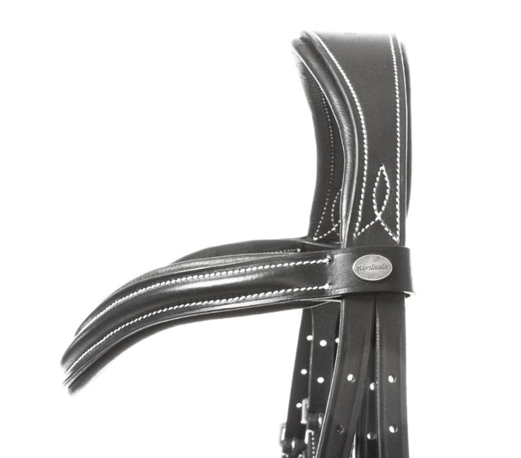 Bridle
