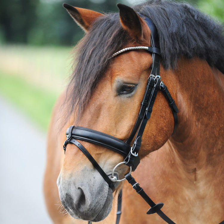 removable flash bridle