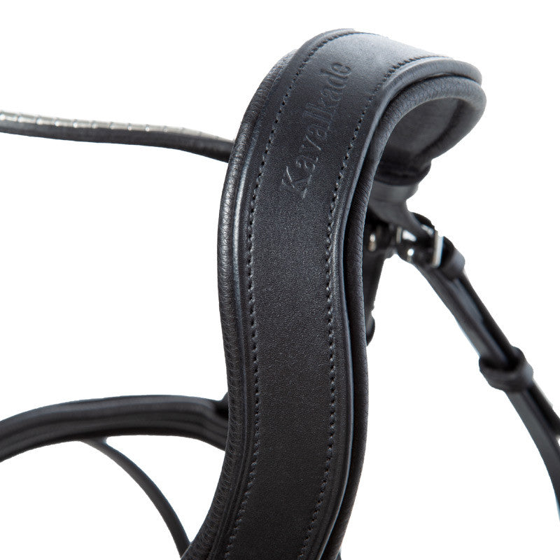 Kavalkade bridle