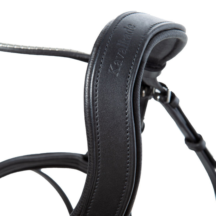 Kavalkade bridle