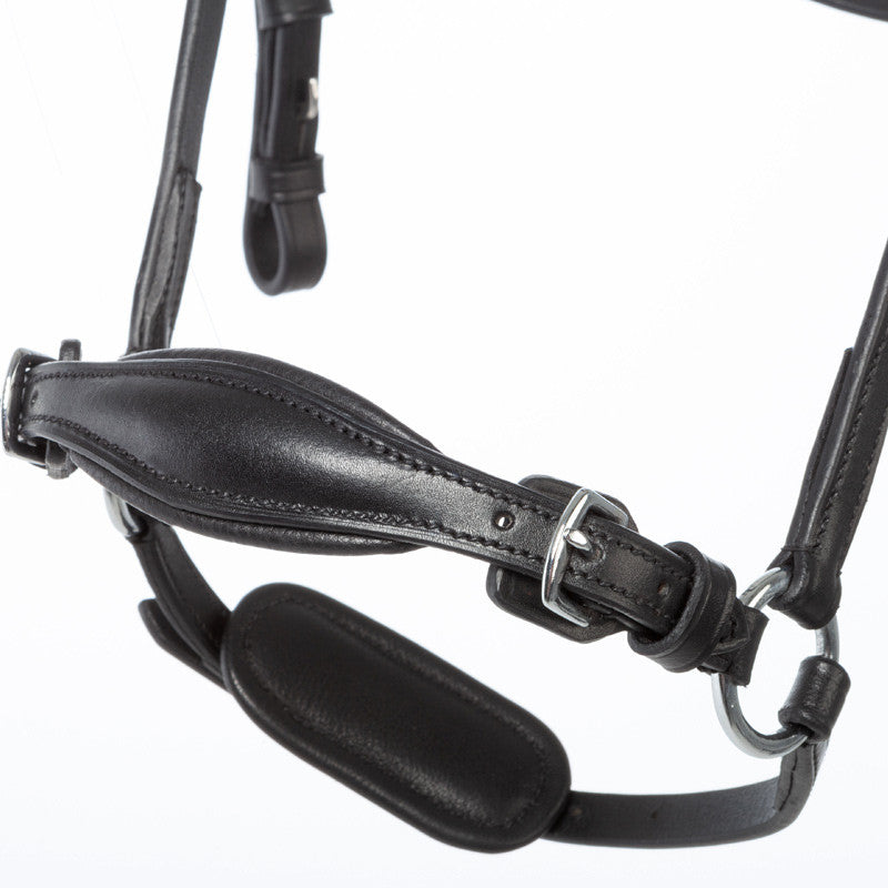 drop noseband bridle