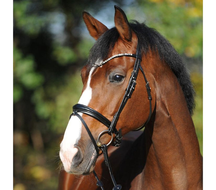 Kavalkade Bridles