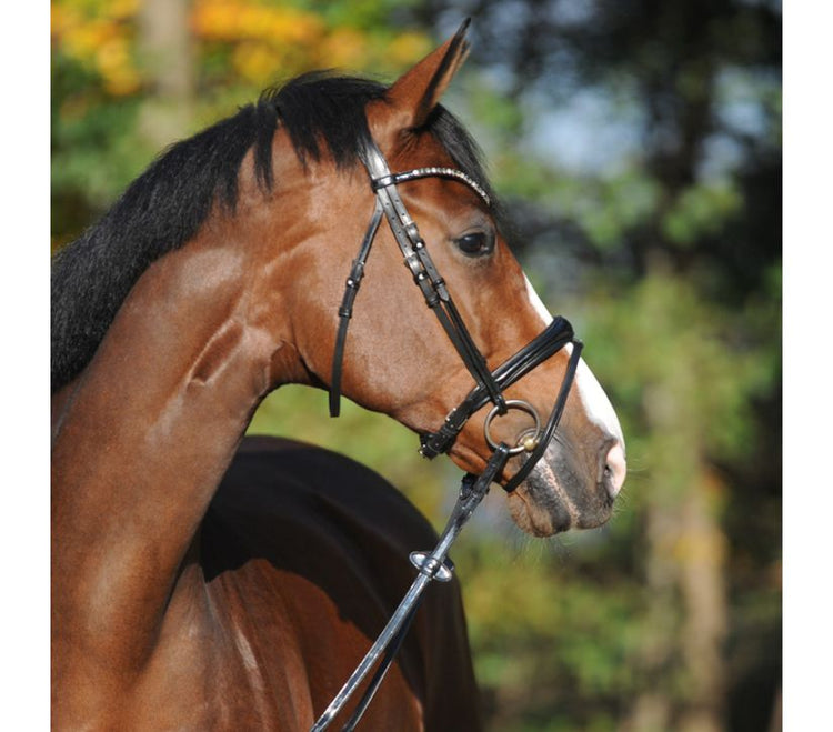 Anatomic Dressage Bridle