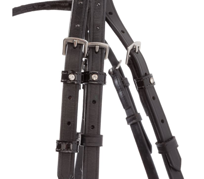 Swedish-combined Bridle