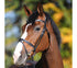Kavalkade Bridle Ella Black