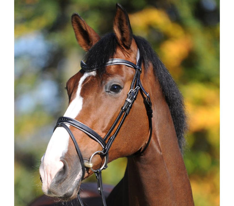 Kavalkade Bridle Ella Black