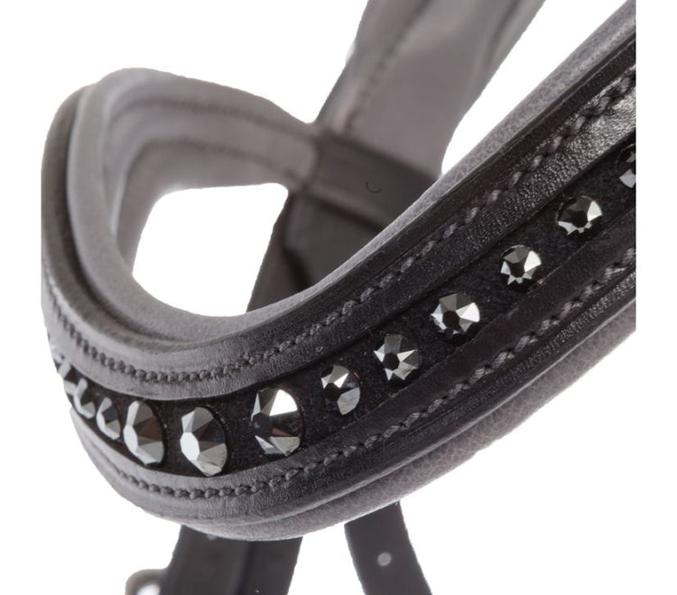 English-combined noseband,