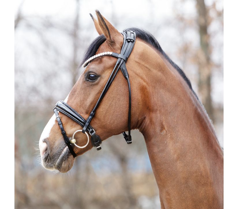 Balck Bridle
