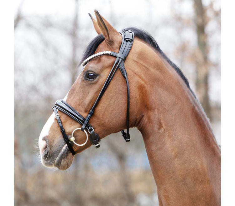 Balck Bridle