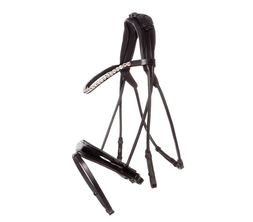 Rolled Leather bridle with patent noseband