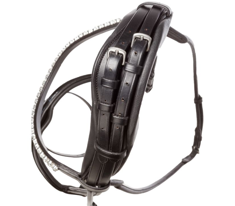 Anatomic Bridle