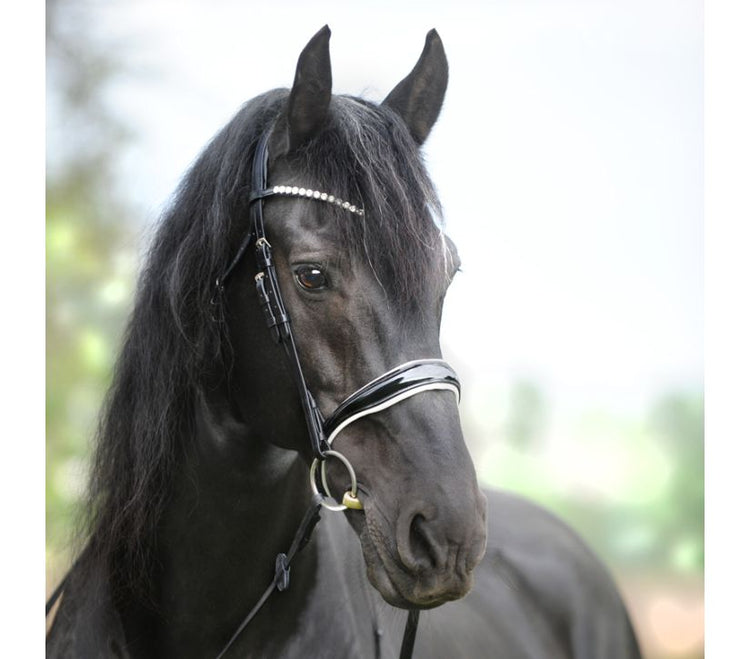Juliane Kavalkade Bridle