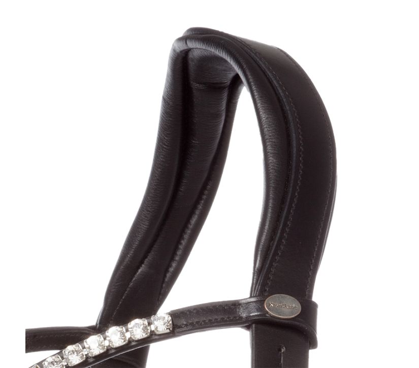 Englisch Bridle
