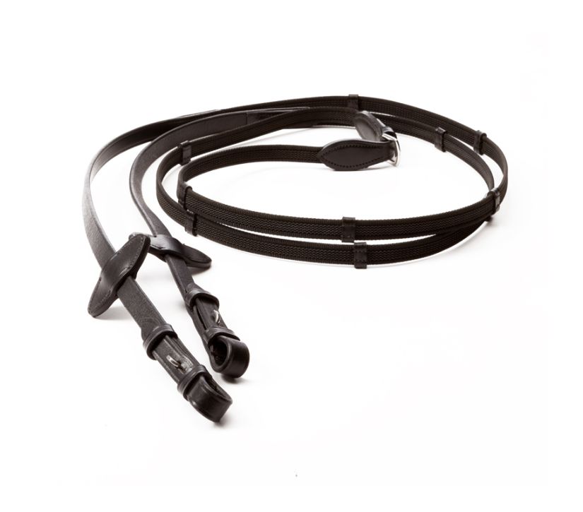 Bridles