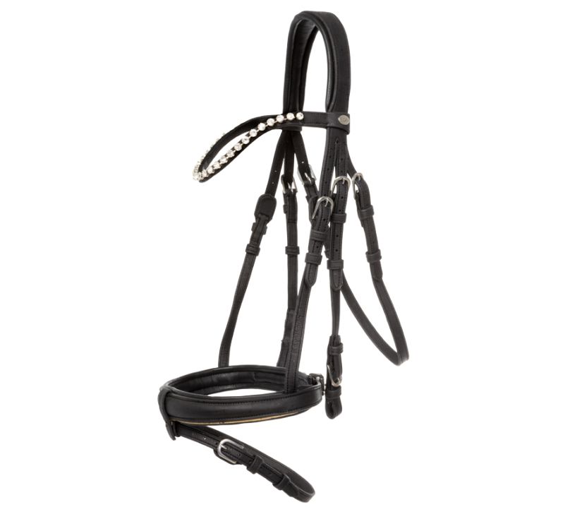 Vegan Bridle
