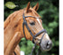 Vegan Leather Bridle