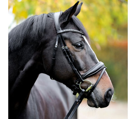 Kavalkade Dressage Bridle Charlotte Black