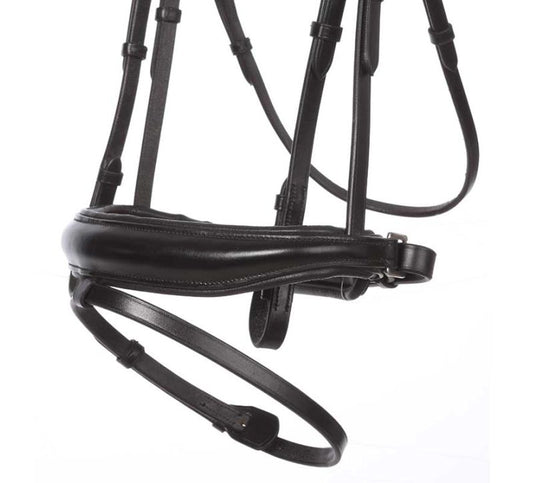 Black Bridle