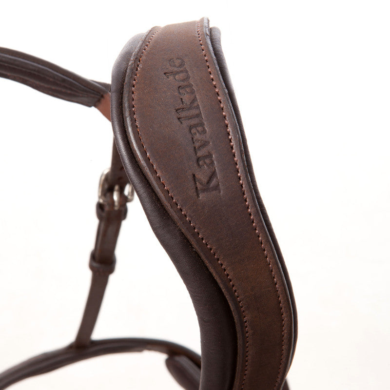 Anatomic headpiece bridle