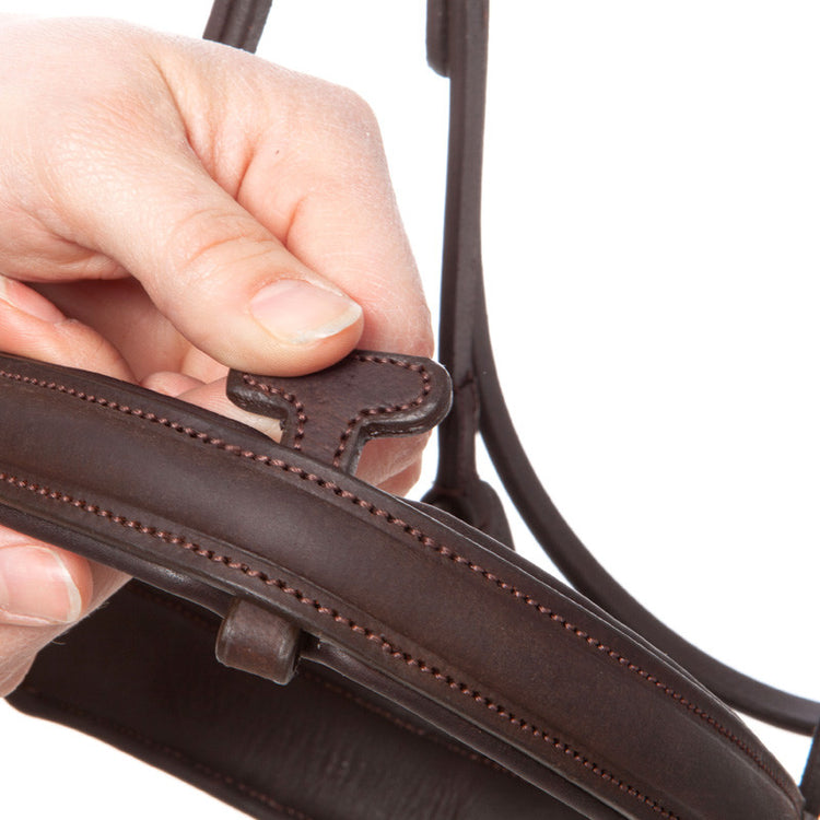 Bridle with removable flash