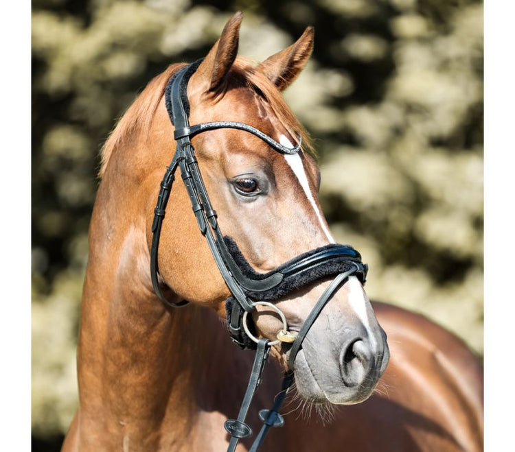 Bridle with sheepskin padding