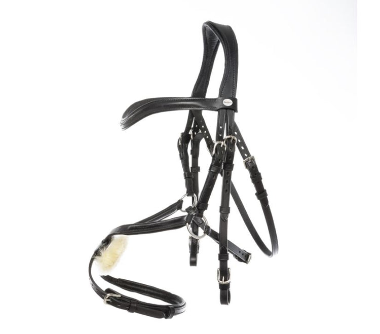 Bridle with Mexican noseband