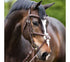 Bridle Proline-Diego