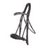 Anatomic dressage double bridle