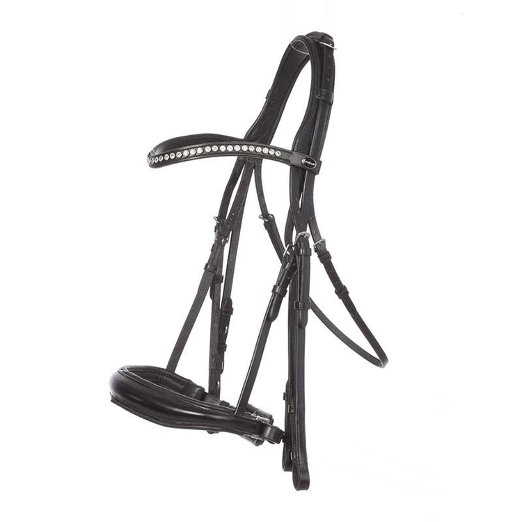 Anatomic dressage double bridle