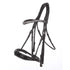 Double bridle with patent black noseband