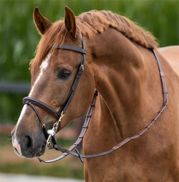 Work bridle with bit clips