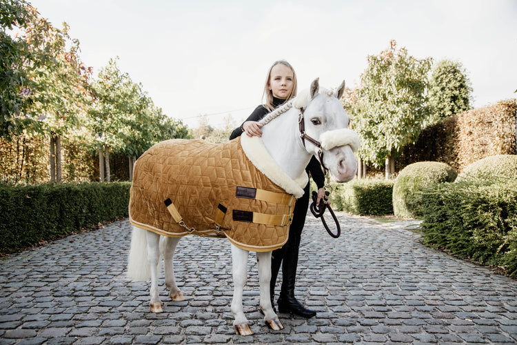 pony show rug