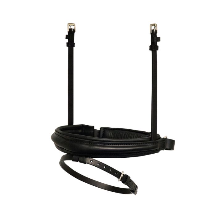 Special dressage noseband combined