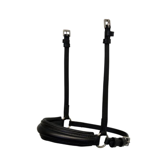 Hanoverian noseband leitrim