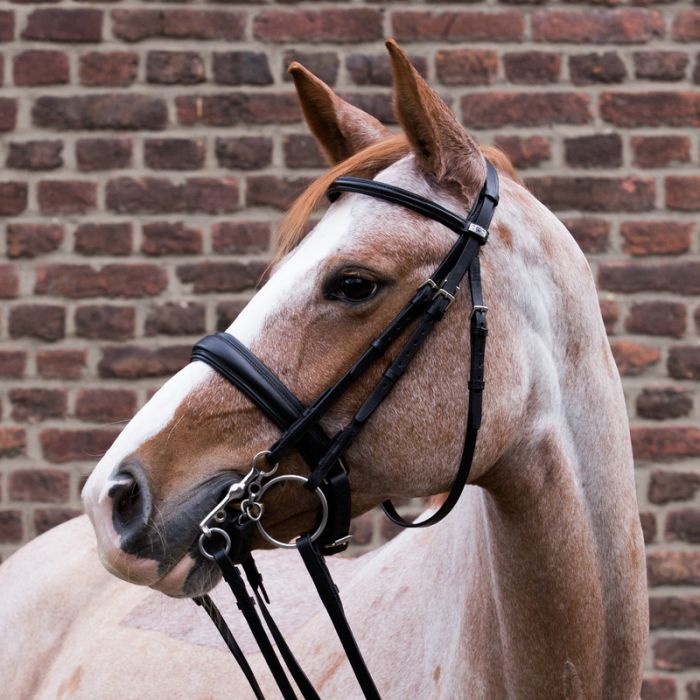 Stubben Double Bridle