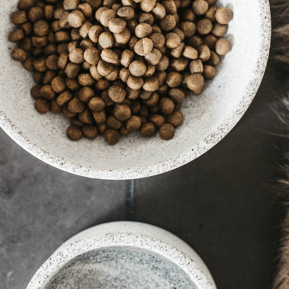 Heavy large dog bowl