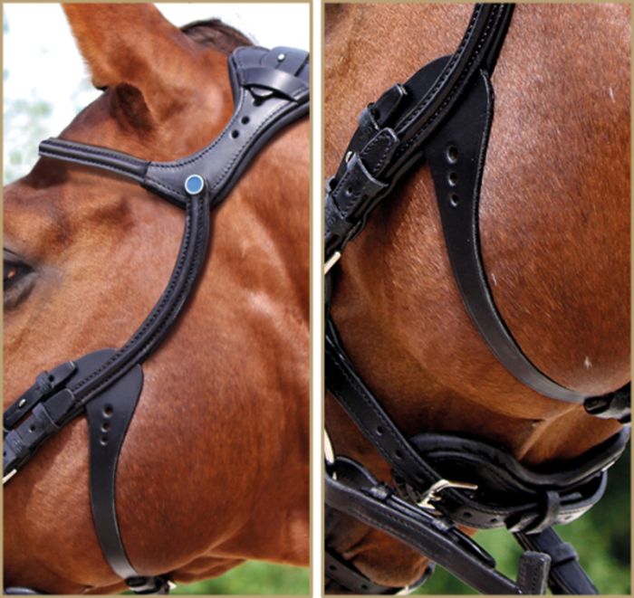 Stubben Freedom Bridle in black