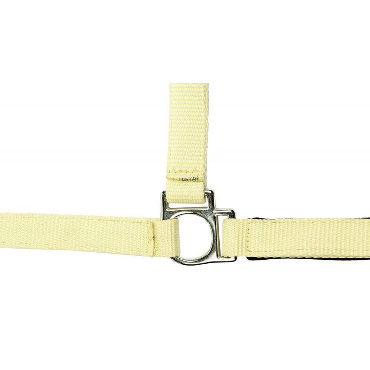 bright yellow head collar