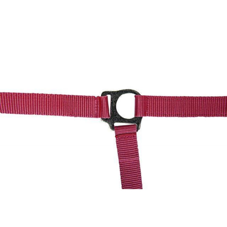 Pink budget head collar for ponies