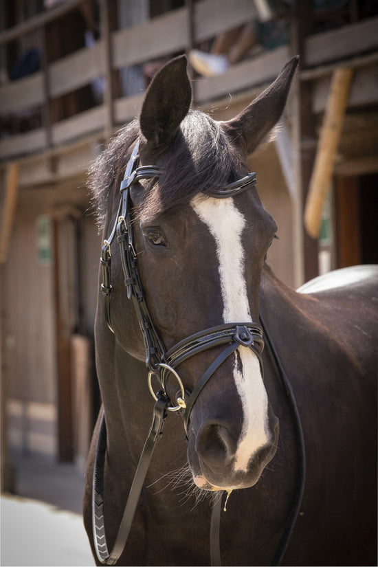 snaffle bridle with flash