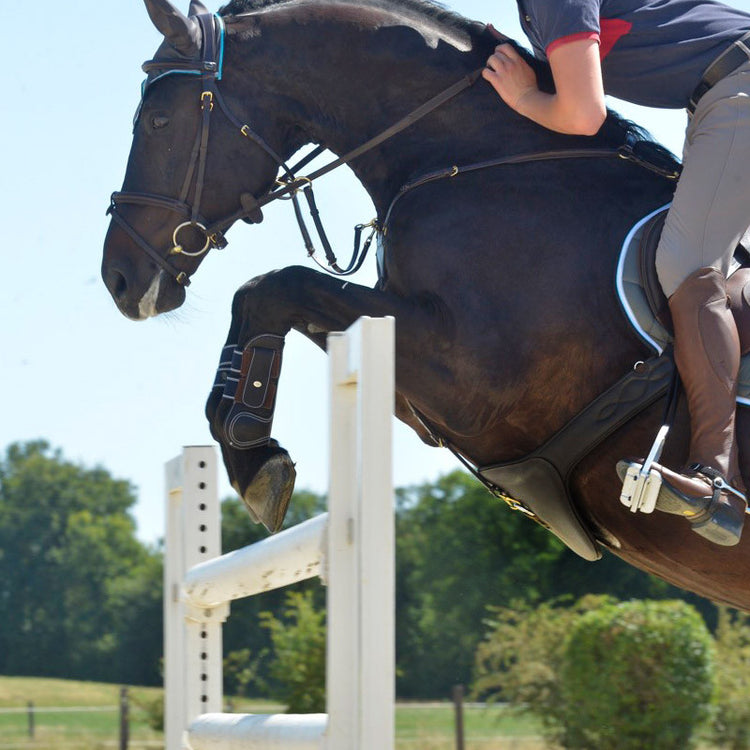 Best jumping girth when using studs