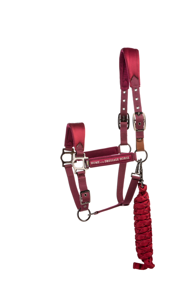 Bordeaux halter with gold