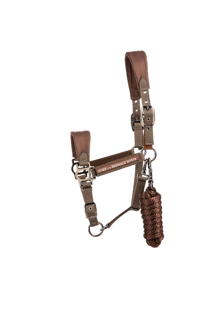 Brown Halter