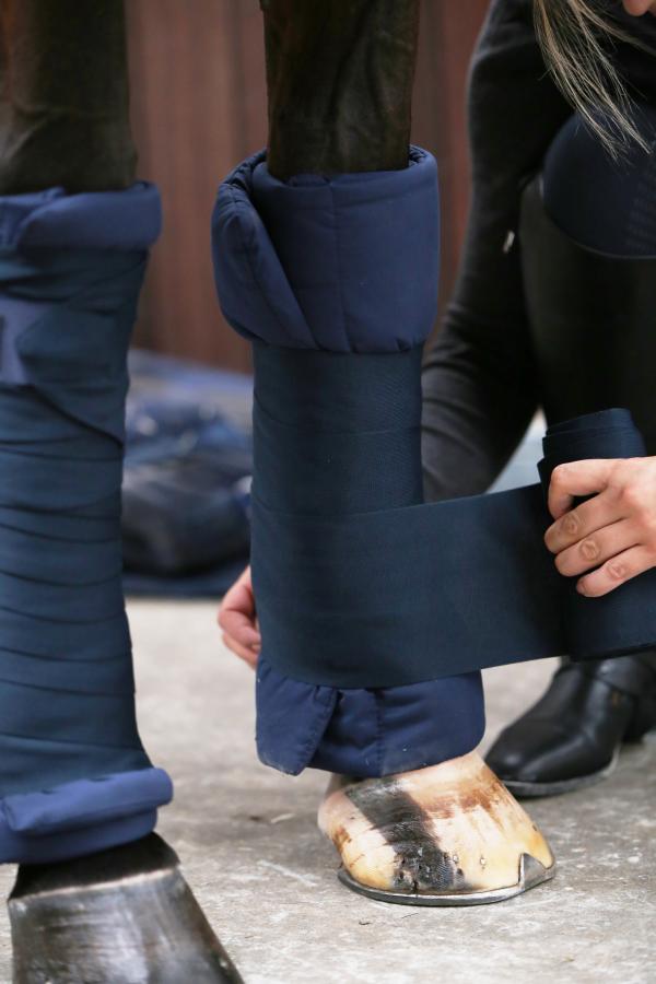 Kentucky Stable Bandages