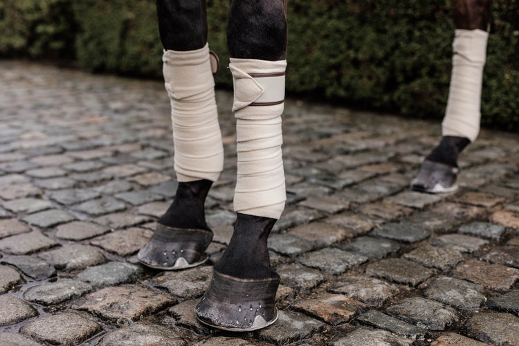 Beige Bandages for horses